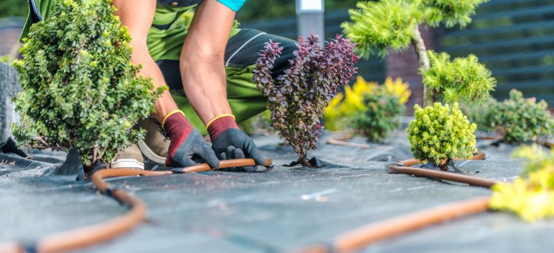 Lawn And Garden Installation in Honolulu, HI