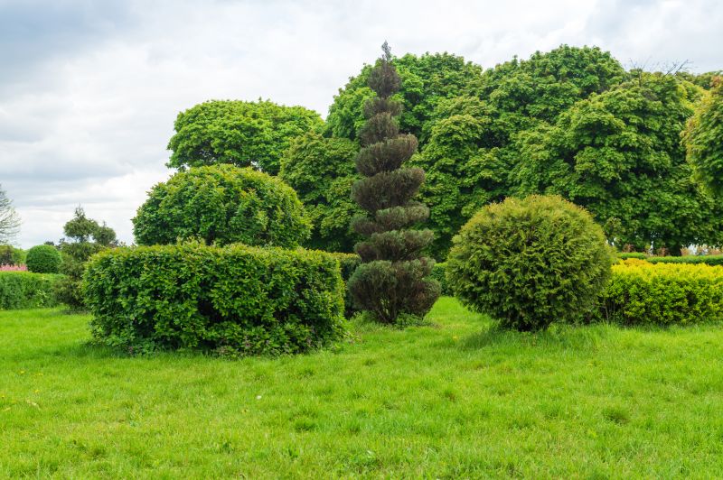 Shrub Pruning in Honolulu, HI