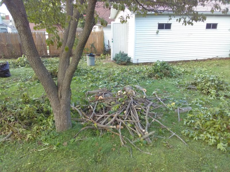 Yard Clean Up