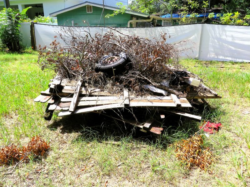 Brush Cleanup Service in Ventura County, CA