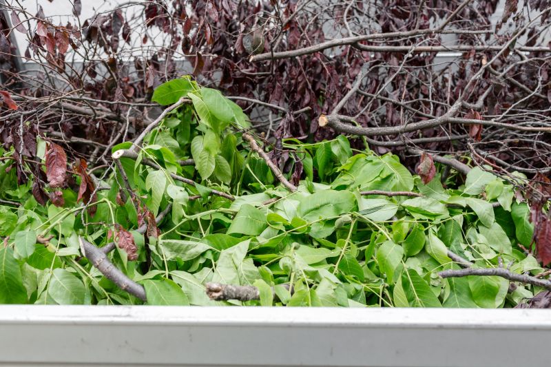 Brush Cleanup Service in Honolulu, HI