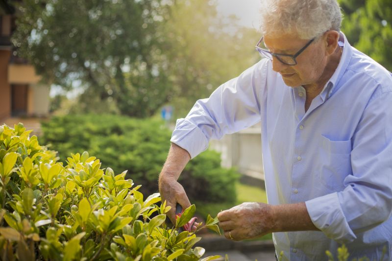 Bush Pruning in Ventura County, CA