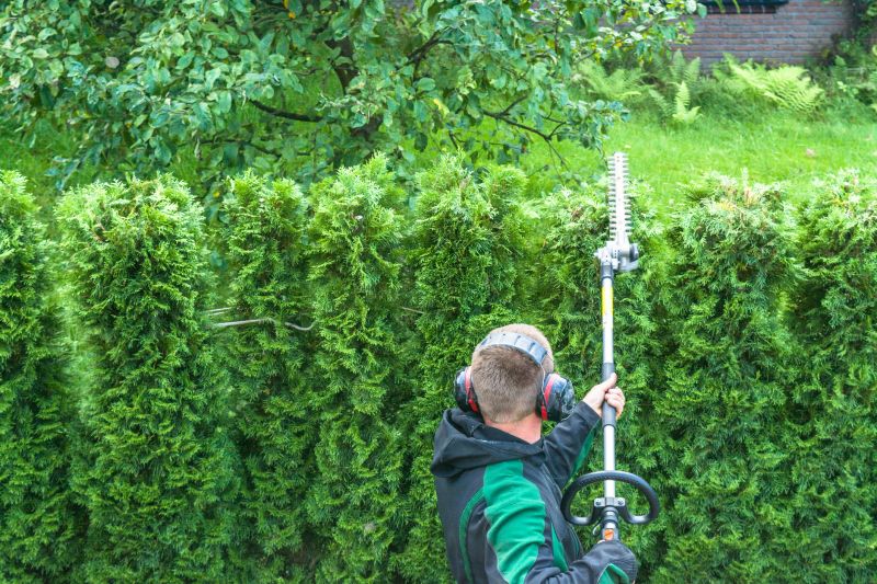 Hedge Trimming in Honolulu, HI
