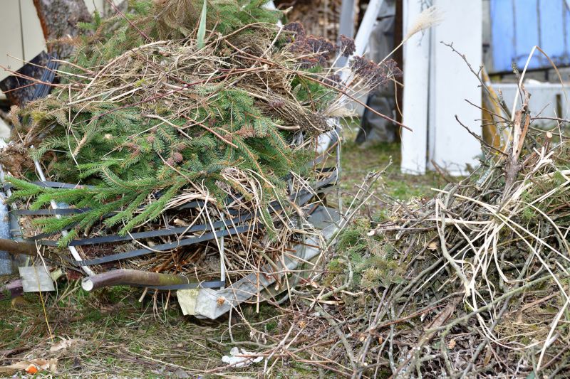 Lawn Waste Removal in Ventura County, CA