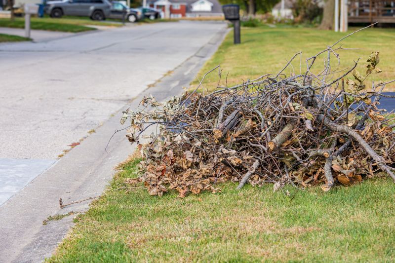 Lawn Waste Removal in Ventura County, CA