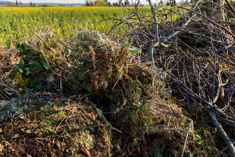 Lawn Waste Removal in Ventura County, CA