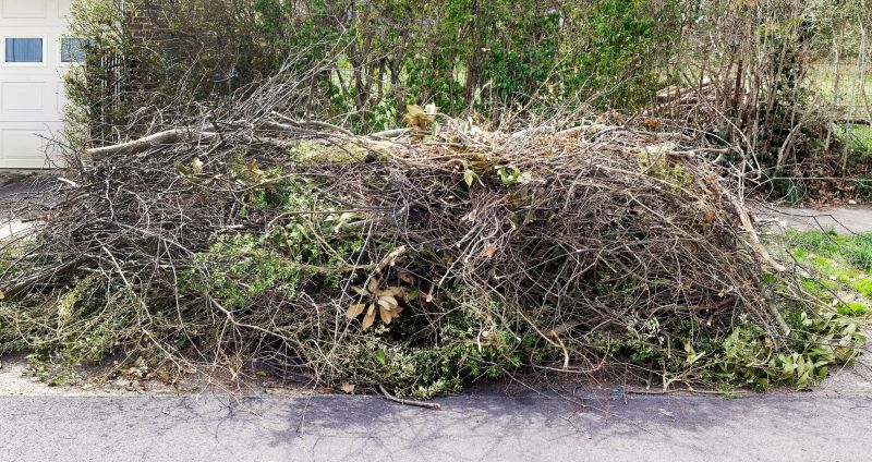 Limbs Removal in Ventura County, CA