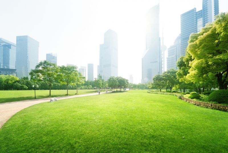 Office Landscaping Design in Ventura County, CA