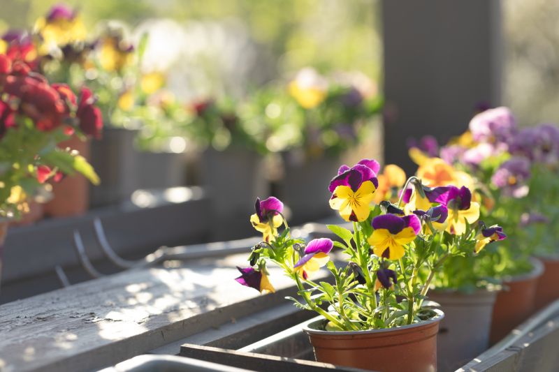 Perennials Planting in Ventura County, CA