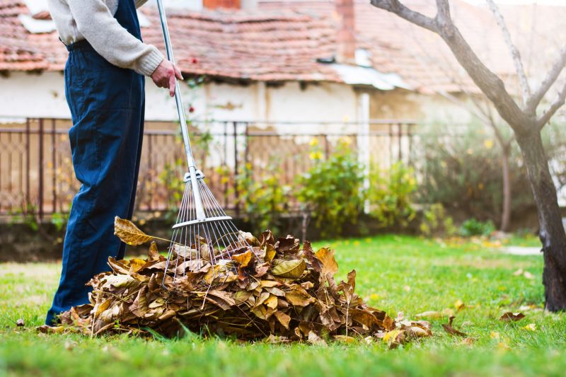 Seasonal Lawn Maintenance in Ventura County, CA