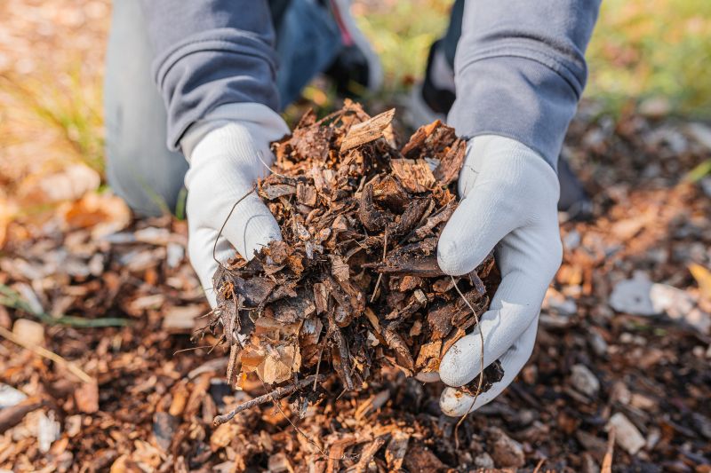 Shredded Mulch Installation in Honolulu, HI
