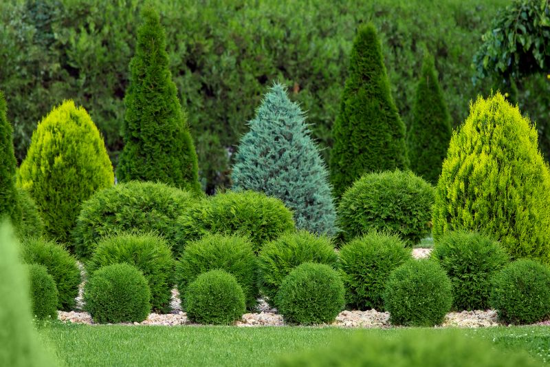 Shrubs Removal in Honolulu, HI