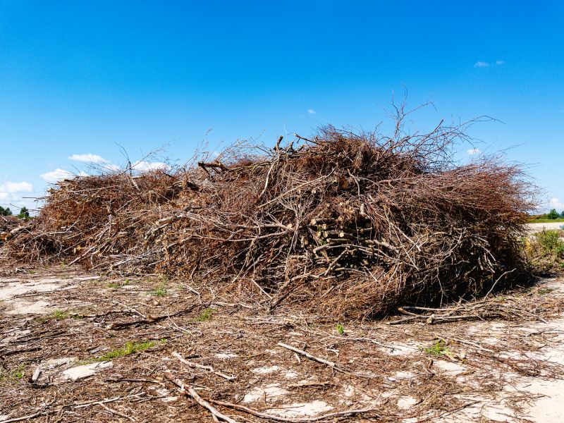 Tree Debris Removal in Ventura County, CA