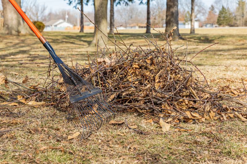 Tree Limb Cleanup in Ventura County, CA