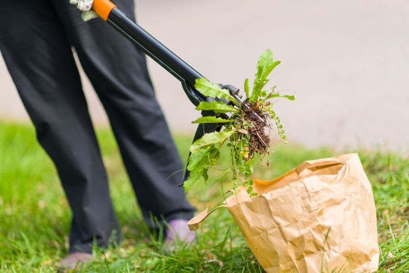 Weeding Service in Ventura County, CA