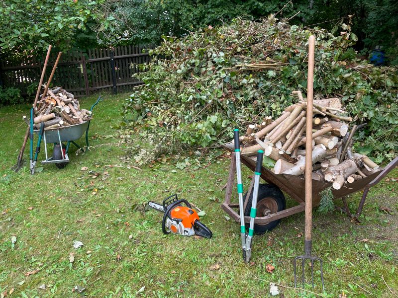 Yard Debris Removal in Honolulu, HI