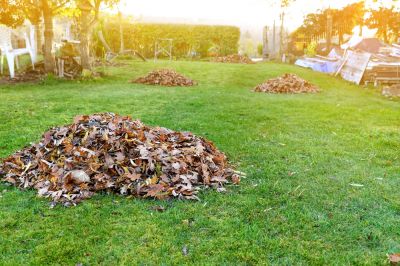 Keep Your Lawn Looking Great with Yard Clean Up Services!