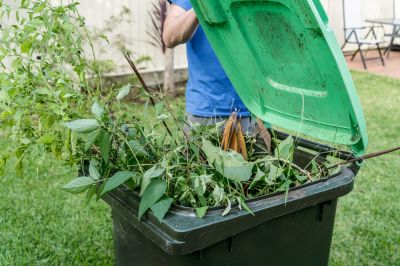 Remove Fallen Tree Branches and Leaves!