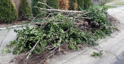 Remove Large Branches and Yard Debris!